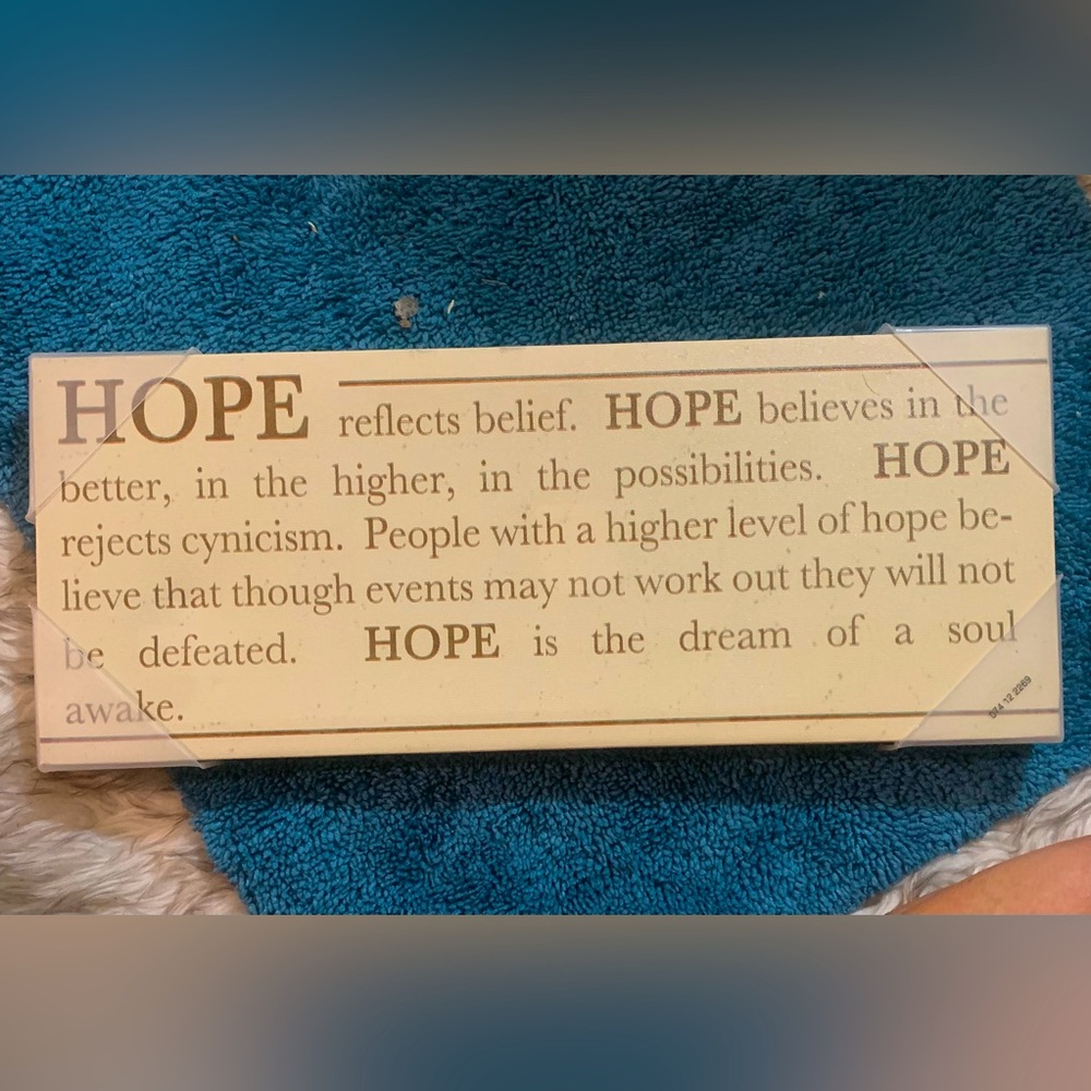 Hope is canvas NWT